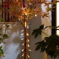 Low Voltage 100 LED String Lights
