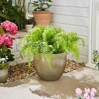 Artificial Fern in Ribbed Plant Pot