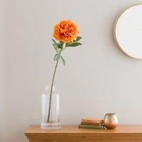 Orange Peony Stem