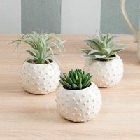 Set of 3 Artificial Succulents