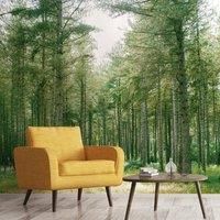 Forest Wilderness Green Mural