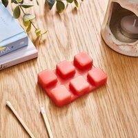Set of 6 Raspberry & Rhubarb Wax Melts