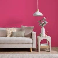 Dunelm Raspberry Ripple Matte Emulsion Paint