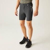 Regatta Mens Mountain II Shorts Ash/Black
