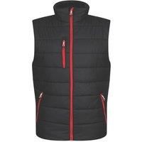 Regatta Professional Men's Navigate Thermal Bodywarmer Black Classic Red, Size: L