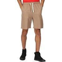 Regatta Lightweight Mens Brown Etonbury Casual Shorts, Size: L