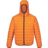 Regatta Mens Hooded Marizion Padded Puffer Jacket
