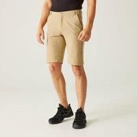 Regatta Men/'s Highton Long Walking Shorts