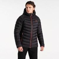 Dare 2b Mens Torrek Baffled Hooded Padded Jacket