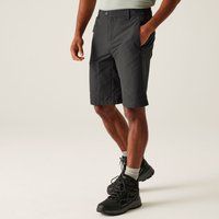 Regatta Mens Highton Long Shorts, Water Repellent & Multi Pocketed Outdoor Active Walking Shorts - Perfect for Hiking & Camping Grey