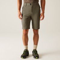 Regatta Highton II Long Walking Shorts Treetop