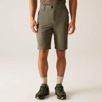 Regatta Highton II Long Walking Shorts Treetop