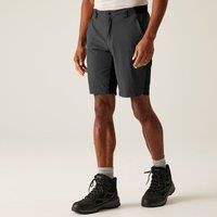 Eldes Shorts