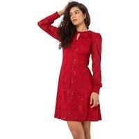 Lace Sparkle Swing Dress