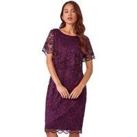 Roman Petite Petite Lace Overlay Stretch Dress in Plum 12 female