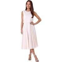 Roman Petite Chiffon Overlay Lace Midi Dress 12 female