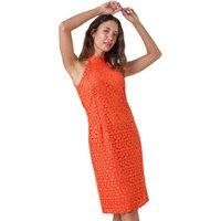 Roman Originals Stretch Lace Halter Neck Dress for Women UK - Ladies Everyday Holiday Spring Summer Comfy Soft Evening Vacation Work Party - Orange - Size 20