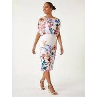 Roman Petite Floral Chiffon Blouson Overlay Dress 12 female