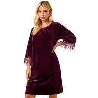 Roman Petite Velvet Feather Trim Stretch Dress for Women UK - Ladies Everyday Autumn Winter Round Neckline Comfy Soft Evening Vacation Work Party Night Out - Petite Plum - Size 16