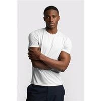 Limehaus 100% Egyptian Organic Cotton Crew Neck Regular Fit T-Shirt, Egyptian Cotton, White