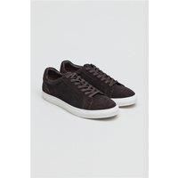 Antique Rogue Gibbs Brown Suede Trainer