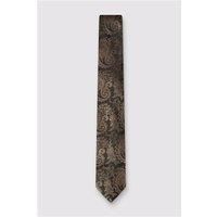 Antique Rogue Chocolate Paisley Tie Chocolate