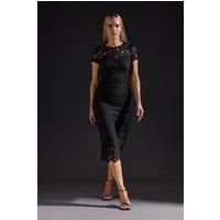 LTS Tall Lace Fitted Midi Dress