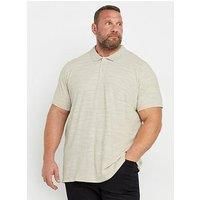 Big & Tall Men's Marl Polo Shirt