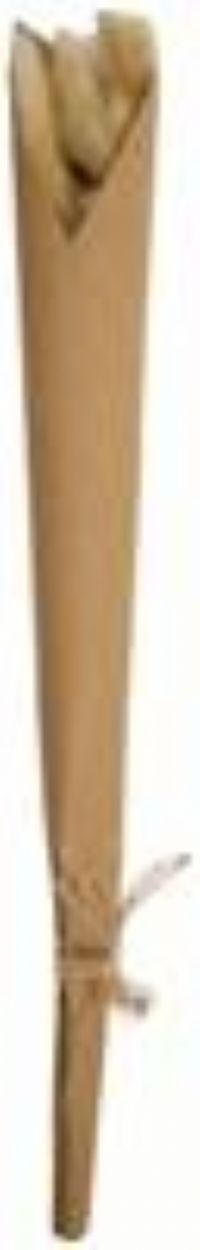 Habitat Mini Dried Pampas Stem - Neutral