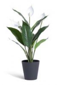 Habitat Large Artificial Faux Peace Lily Plant - White