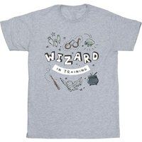 Harry Potter  Wizard In Training  boys's  in Grey
