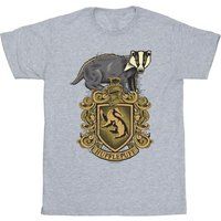 Harry Potter  Hufflepuff  girls's  in Grey