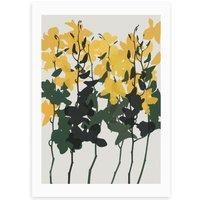 East End Prints Orchids 7 Print
