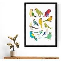 East End Prints Parrots Print