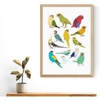 East End Prints Parrots Print