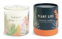 Habitat x Designs in Mind Medium Boxed Candle - Plant Life