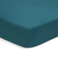 Habitat Cotton Rich Petrol Fitted Sheet - Single