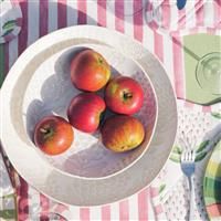 Habitat x Sanderson & National Trust Bellis Pasta Bowls 4pk