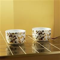 Habitat 60 Gold Edit Jackson Porcelain Nibble Bowl Set