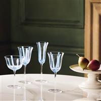 Habitat x Sanderson & National Trust Champagne Flutes 2pk