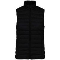 Native Spirit Womens/Ladies Light Recycled Body Warmer  PC5122