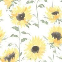 https://www.burton.co.uk/product/catherine-lansfield-sunflower-wallpaper_p-d5f01d5c-fe40-471f-9b79-226523909d6a£colour=Yellow&size=One%20Size