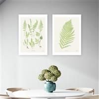 East End Prints Botan Vintage Art Print - A2
