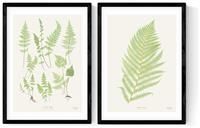 East End Prints Botan Vintage Black Frame Art Print - A3