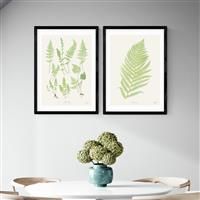 East End Prints Botan Vintage Black Frame Art Print - A2