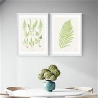 East End Prints Botan Vintage White Frame Art Print - A2