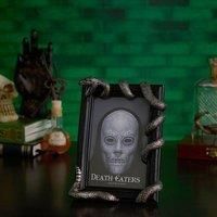 Widdop and Co Harry Potter Dark Arts Frame - Nagini