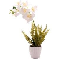 Country Living Large Artificial White Orchid in Ribbed Plant Pot