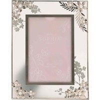 Sophia Classic Silver Daisy Photo Frame 4inch X 6inch