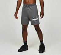 Hoodrich OG Territory Fleece Short - Grey - Size M
